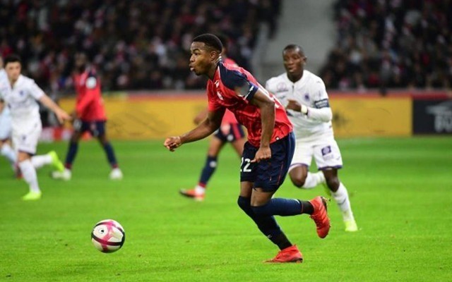 特别是在应 特别是在应