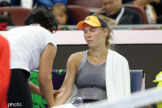 人关注的主 人关注的主